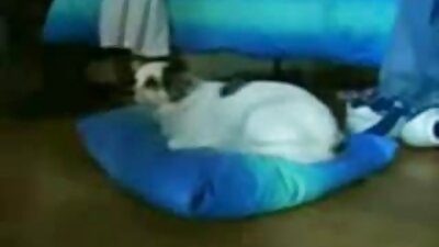 変態妻はBBCのために彼女の熱い猫を広げます 濃厚 フェラ 無料 動画
